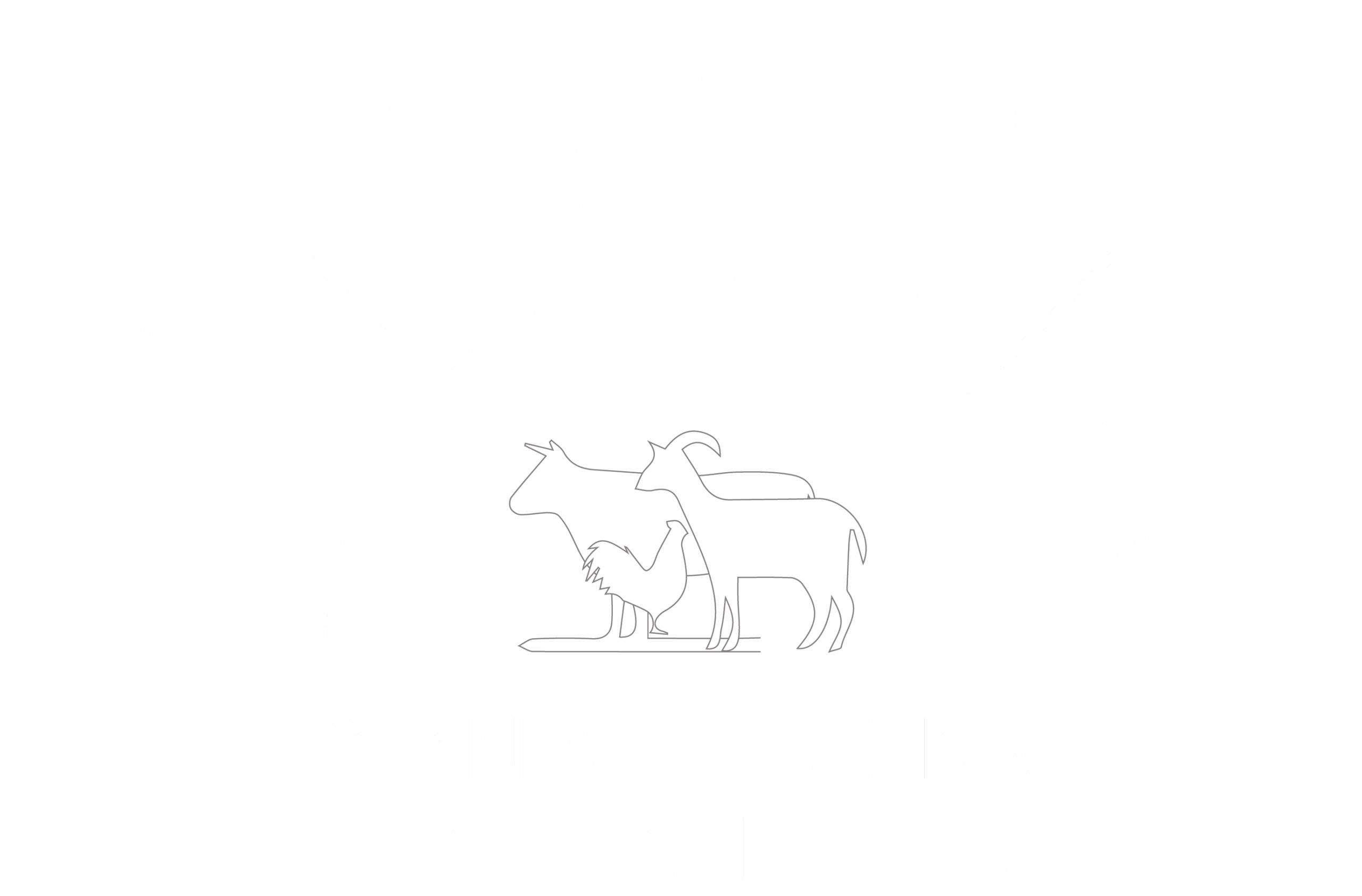 Just another WordPress site